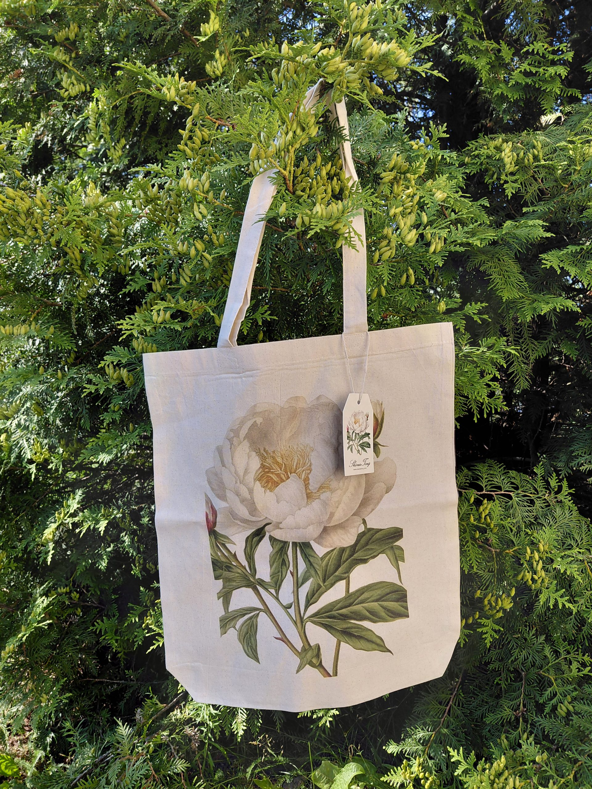 Kangaskassi pioni Sköna Ting