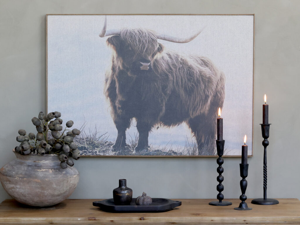 Kangastaulu härkä puisilla kehyksillä 53 x 77 cm Chic Antique